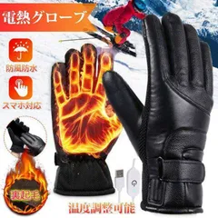 手袋 電熱グローブ ヒーターグローブ USB給電式 温度調整可能 裏起毛 撥水 防風 防寒 スマホ対応 男女兼用 冬 バイク 自転車 釣り