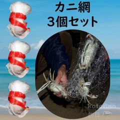 アイスペグ ワカサギ釣り 4本セット 氷上テント固定 竿受け ロッド 