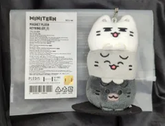 SEVENTEEN MINITEEN JUN MAGNET PLUSH KEYRING