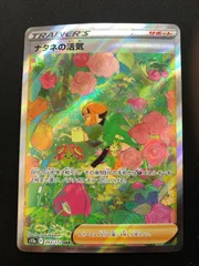 2026年最新】ナタネの活気 sarの人気アイテム - メルカリ