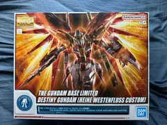 MG  ガンダムベース限定 デスティニーガンダム (ハイネ専用機)