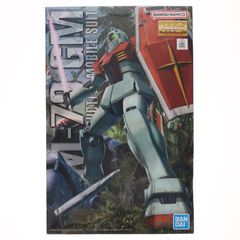 MG 1/100 RGM-79 체육관 ver.2.0 기동전사 건담 프라모델(5061584) 반다이 스피릿