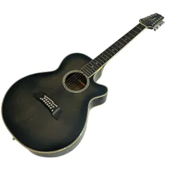 TAKAMINE エレアコ NPT-110 Takamine NPT-110 エレアコ タカミネTakamine エレアコ NPT-110 07c03