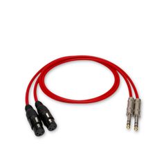 Item thumbnail for item 5576c478-f9ff-44e4-b8c0-e14fafa6de5f