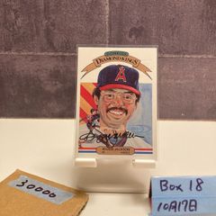 2014年盗塁王 記念 梶谷隆幸 サイン入りフォト BBM 2014年盗塁王 記念 梶谷隆幸 サイン入りフォト BBM HATTRICK（ハット