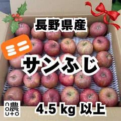 長野県産 サンふじ りんご 小玉（SSサイズ）4.5kg 以上  小さめ 訳あり リンゴ 林檎 長野県 小さい 蜜入り 丸かじり ssサイズ 100 ~ 150g ミニサイズ かわいい クリスマス 飾り