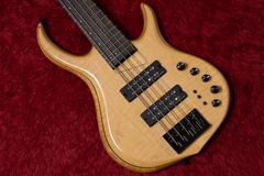 最終値下げ RMI Ruina miyashiro cocytus 7弦ギター - メルカリ