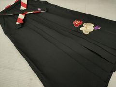 Item thumbnail for item 196a88f6-b70c-40b0-83aa-4093266aabff