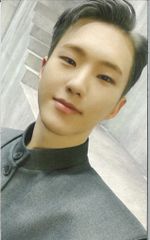 SEVENTEEN Face the Sun SHOPEE トレカ 13枚 - メルカリ