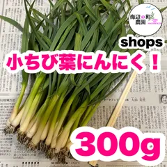 高知県産 小ちび葉ニンニク 300g 葉にんにく 野菜 産地直送！