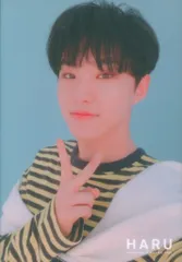 SEVENTEEN 2019 HARU HOSHI トレーディングカード 0067