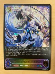 シャドウバースエボルヴ 壊竜の六銘伝・エル(EVOLVE)【LG】 - メルカリ