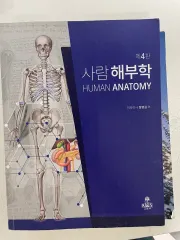 KMS 人 解剖学 第4版 解剖学 教材 コムンサ