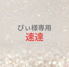 ぴぃ様専用ページ