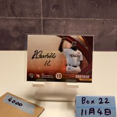 2015 BBM Real Venus 畠山愛理 04/40 直筆サインカード Rhythmic