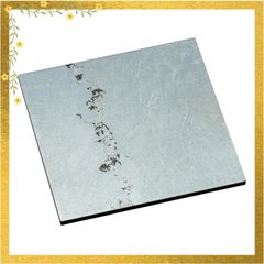 ◇太古がつまった、海の米◇【フズリナ/紡錘虫】 岐阜産 フズ5 - メルカリ
