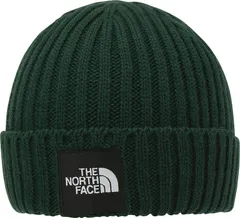 ザ・ノース・フェイス THE NORTH FACE アウトドア キッズ カプッチョリッド 帽子 ニット帽 ビーニー キャップ 子ども服 シンプル 保温 抗菌防臭 普段使い フィット感 ロゴ おでかけ キャンプ  NNJ42320 AL アルパイン