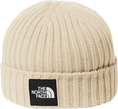 ザ・ノース・フェイス THE NORTH FACE アウトドア キッズ カプッチョリッド 帽子 ニット帽 ビーニー キャップ 子ども服 シンプル 保温 抗菌防臭 普段使い フィット感 ロゴ おでかけ キャンプ  NNJ42320 GL グラベル