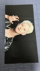 SEVENTEEN ホスローガン