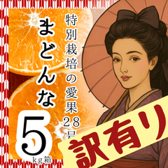 外観不良の訳あり愛果28号（まどんな）5kg箱 【減農薬の特別栽培基準/愛媛の農家直送/全国追加送料なし】2/5注文受付分