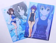 クリアファイル2枚 魔法先生ネギま！&ハヤテのごとく のどか＆マリア