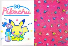 ペアピカチュウ A4 ダブル クリアファイル ポケモンセンター限定
