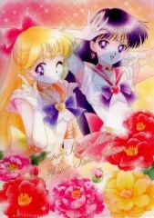 【中古】クリアファイル スーパーセーラーマーズ＆スーパーセーラーヴィーナス 「ジャンボカードダス 美少女戦士セーラームーン アートファイルコレクション3」