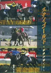 2025年最新】ステイゴールド 競馬の人気アイテム - メルカリ