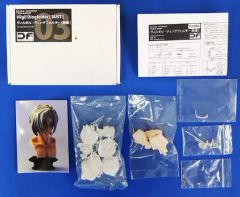[중고] 피규어 빌길 딩 펠더 (흉상) [극장판 TIGER & BUNNY -The Rising-] 1/6 레진 캐스트 키트