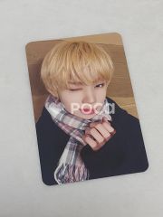 Seventeen ウォヌ セブチ 2018 SEVENTEEN CONCERT IDEAL CUT - THE