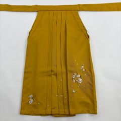 Item thumbnail for item ac860a8d-bf8e-45c9-b0a7-e4340afd8c14