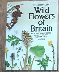 WILD FLOWERSꕤイギリス野の花図鑑ꕤ1600のイラスト ボタニカル洋書 