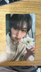 BOYNEXTDOOR テサン The Action Weverse