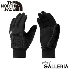 【日本正規品】 ザ・ノース・フェイス 手袋 メンズ レディース 防寒 スマホ 自転車 THE NORTH FACE 薄い ブランド おしゃれ 暖かい プレゼント スマホ対応 冬 デナリイーチップグローブ Denali Etip Glove NN62522