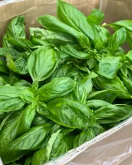 沖縄県産バジ300g まあこ様専用