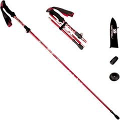 Item thumbnail for item 6be150e3-2dce-4536-a51b-cd9e79c6ce83