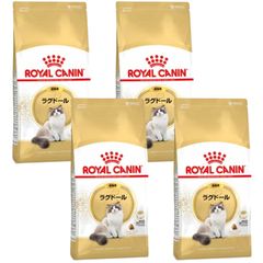 ロイヤルカナン ラグドール 成猫用 2kg × 4袋 キャットフード ドライ