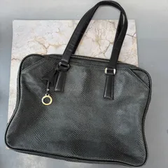 aniary オールレザー　ビジネスバッグ　アニアリ　メンズ　本革　パイソン型押し　ハンドバッグ