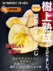 県外の店頭には並ばなくなってしまった冬収穫【いぼりりんご】りんご専用特殊冷蔵庫から出荷で日持ち抜群◎春りんご３キロ　中小玉MIX（12玉〜13玉）青森県産りんご葉取らずふじ※トラブル防止の為商品説明の方をご一読ください