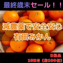 訳あり 有田みかん10kg 減農薬栽培で安心！濃厚な甘さの「家庭用」和歌山県産