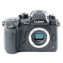 2025年最新】panasonic lumix gh5の人気アイテム - メルカリ
