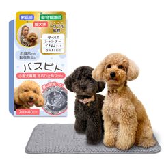 Item thumbnail for item dcbca5dd-9dab-4645-adcc-bddb7635b553