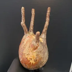 2025年最新】グラキリス ベアルートの人気アイテム - メルカリ