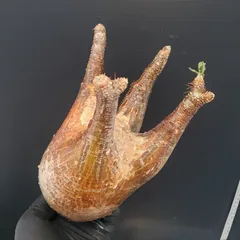 2025年最新】グラキリス ベアルートの人気アイテム - メルカリ