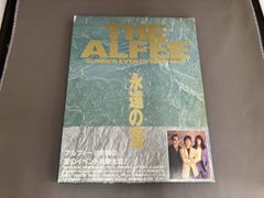 THE ALFEE 永遠の夏 写真集 - メルカリ
