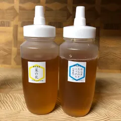 【非加熱・生はちみつ】からすたらのき百花蜜250g&菜の花蜜250g(2本