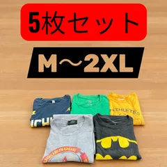 Tシャツ まとめ売り 5枚セット M～2XL バットマン ミシガン ロゴプリント アメカジ ゆるだぼ ビッグサイズ 古着 まとめ売り USED