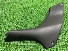 zx25r zx4r カーボンクーリングカバー | Mercari