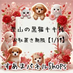 里山の黒猫キキ様