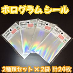 a171【新品・未使用品】ホログラムシール ステッカーシート 2種類・計